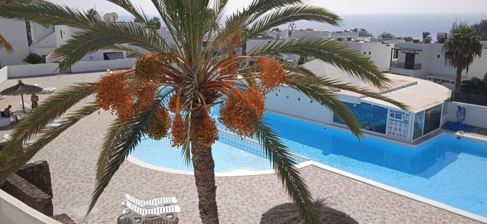 Blue View Hermoso Apartamento Remodelado Ubicacion Ideal Коста-Тегісе Екстер'єр фото